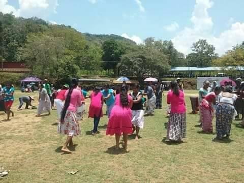 එරබදු වසන්තය 
